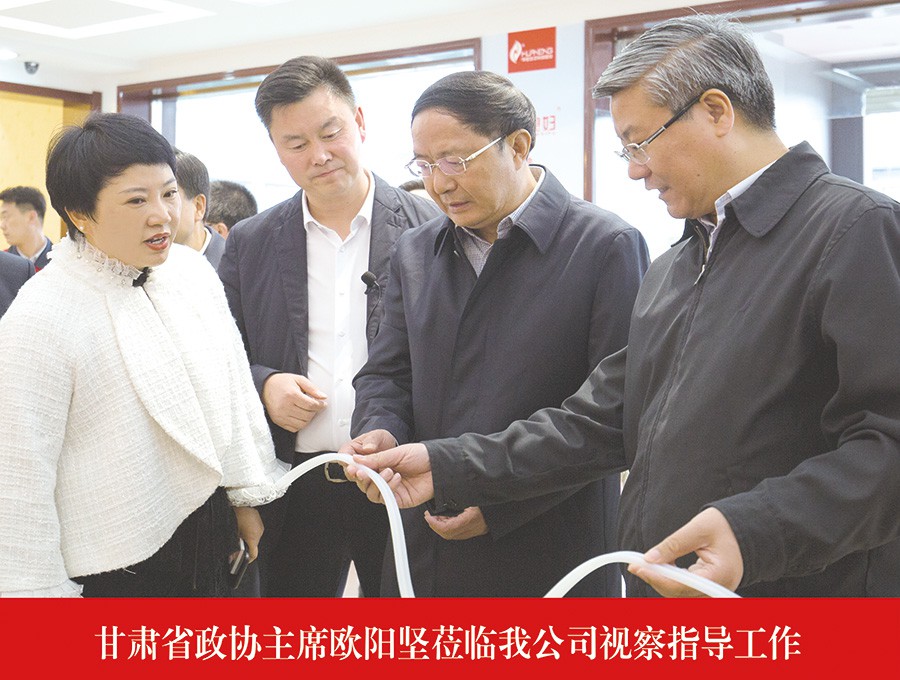 甘肅省政協(xié)主席歐陽堅(jiān)蒞臨我公司視察指導(dǎo)工作